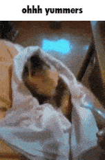 a dog is wrapped in a white blanket with the words ohhh yummers below it
