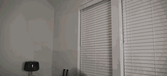 a person standing in front of a window with blinds on it