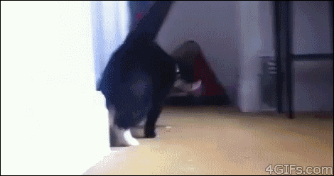Click To Watch GIF - Funny Lol Love GIFs