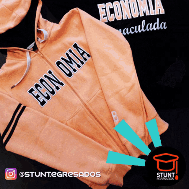 a pink hoodie with the word economia on the front