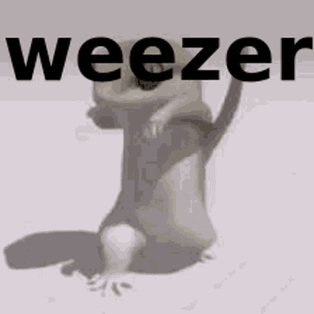 Weezer Incel GIF