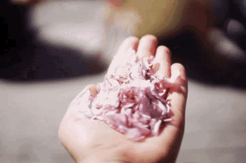 a person is holding a pile of purple flowers in their hand .