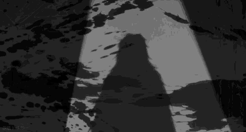 a black and white photo of a person 's shadow on a wall with blood stains .