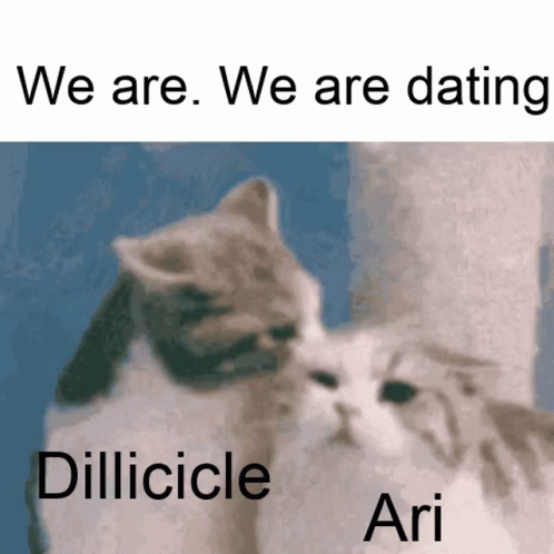 Dillicicle Cat GIF - Dillicicle Cat Meme GIFs