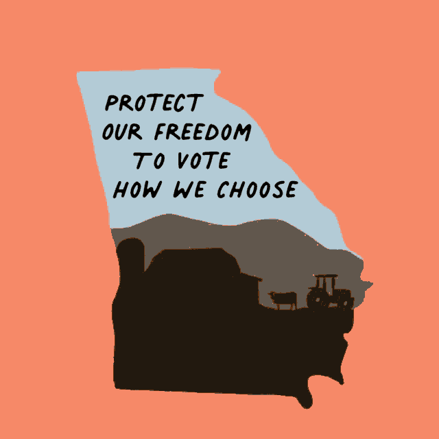 Protect Our Freedom To Vote How We Choose Freedom GIF - Protect Our Freedom To Vote How We Choose Freedom Vote GIFs