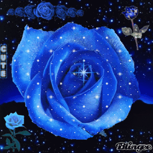 Sparkling Blue Rose GIF - Sparkling Blue Rose Flowers GIFs