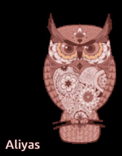 a drawing of an owl with the name aliyas written below it