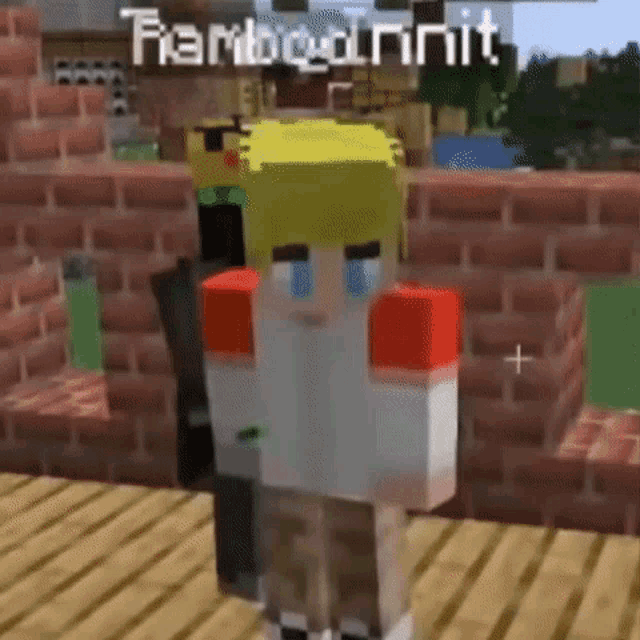a minecraft character is standing in front of a brick wall and crying .