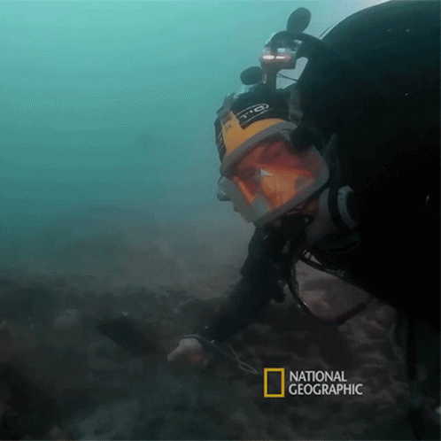 Thumbs Up Albert Lin GIF - Thumbs Up Albert Lin National Geographic GIFs