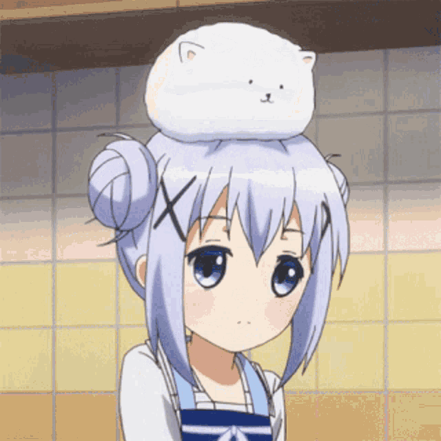 a girl with a cat on her head has a bun