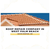 a red tile roof with a blue sky in the background .