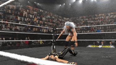 two women wrestling in a ring with nxt written on the bottom