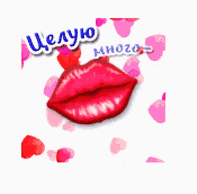 a drawing of a woman 's lips with the words " целую " in the corner