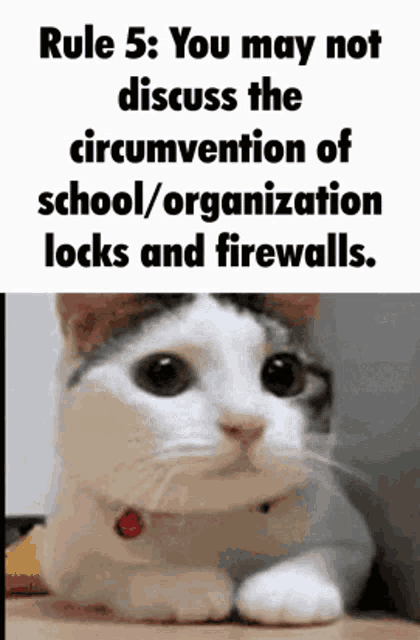 rule 5 : you may not discuss the circumvention of school / organization locks and firewalls