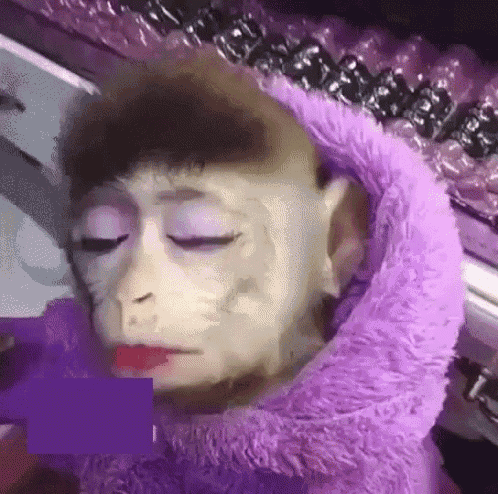 Monkey Beauty GIF
