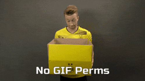 No Gif Perms Discord GIF - No Gif Perms Discord Discord Perms GIFs