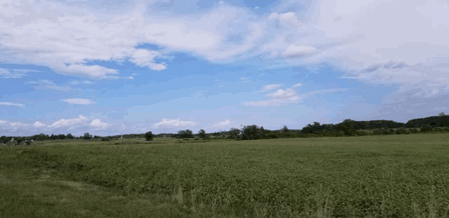 a lush green field with trees in the background and a blue sky with clouds