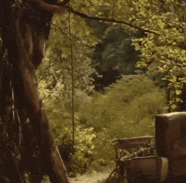a man in a plaid shirt and green shirt is walking through a forest