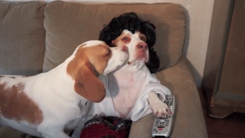 Kisses For Dad GIF - Cute Dogs Puppy GIFs