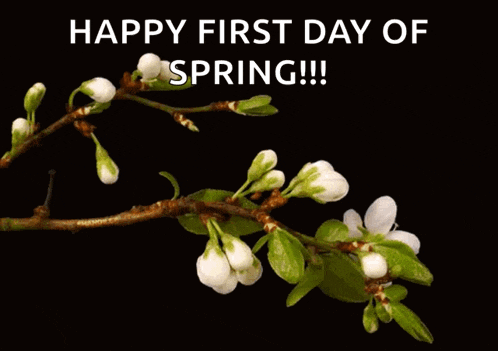a picture of flowers with the words happy first day of spring on the bottom