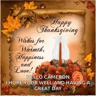 a happy thanksgiving wishes for warmth , happiness and love .