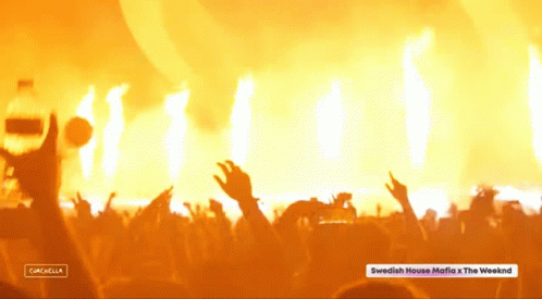 Partying Swedish House Mafia GIF - Partying Swedish House Mafia Coachella GIFs
