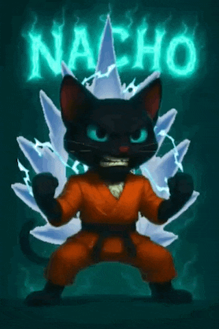 a black cat in an orange karate uniform is standing in front of a sign that says nacho
