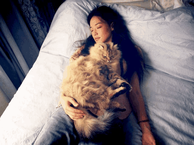 a woman is laying on a bed with a cat on her lap