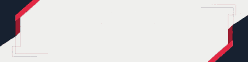 sellix.io / r3bornaccounts lifetime warranty banner