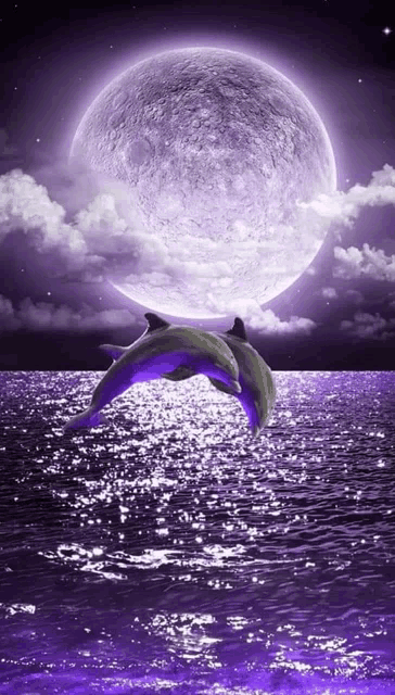 two dolphins are jumping out of the water in front of a purple full moon