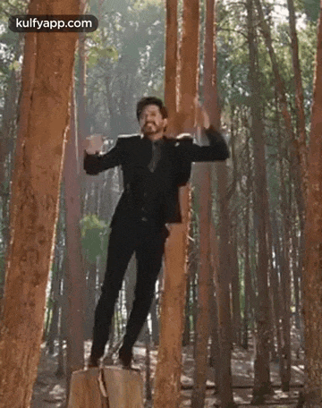 a man is jumping in the air while standing on a tree stump in the woods .