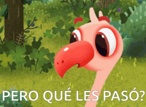 a cartoon flamingo with the words pero que les paso written below it