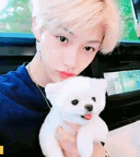 a young girl is holding a small white dog in her arms .