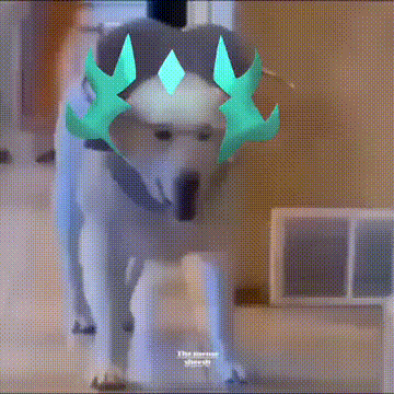 a dog with a crown on its head standing in a room .