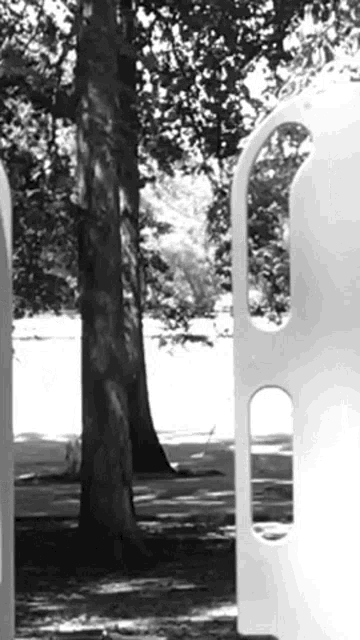 a black and white photo of a playground in a park with trees in the background