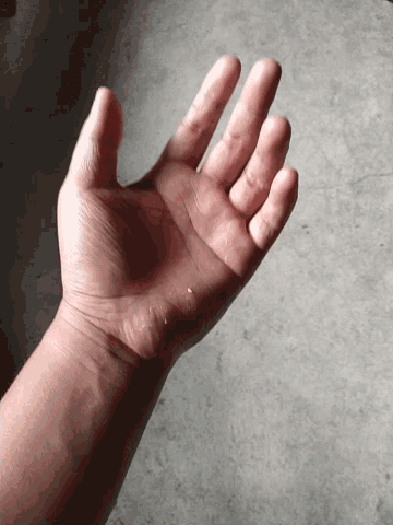 Palm Open GIF - Palm Open Hand GIFs