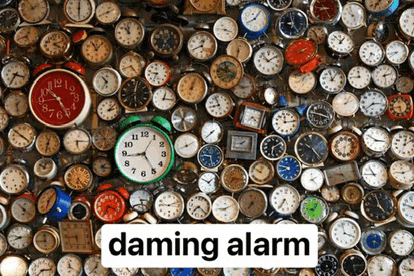 a bunch of clocks on a wall with the word " daming alarm " in the corner