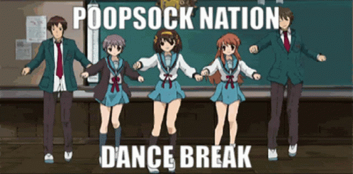 Poopsock Poopsock Nation GIF - Poopsock Poopsock Nation The Irl GIFs