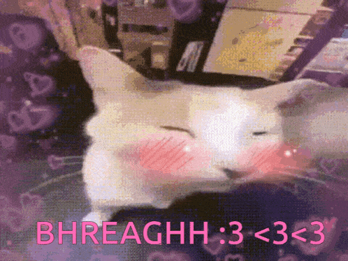 a white cat with pink cheeks and the words bhreachh : 3 < 3 < 3