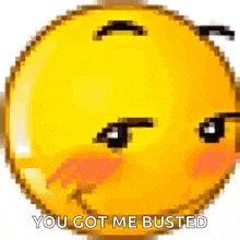 a pixel art smiley face with the words `` you got me busted '' on it .