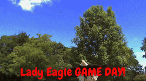 Game Day GIF - Game Day GIFs