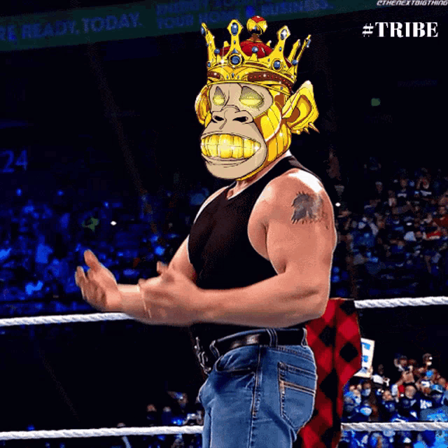 a man wearing a monkey mask and a crown applauds