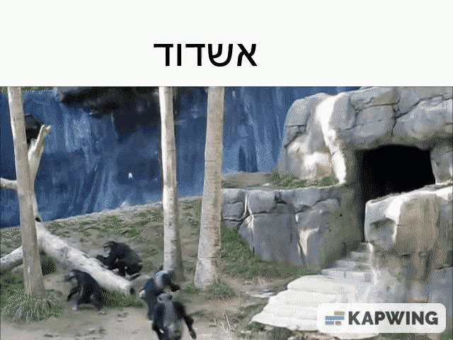 a picture of a cave with a caption that says kapwing on the bottom