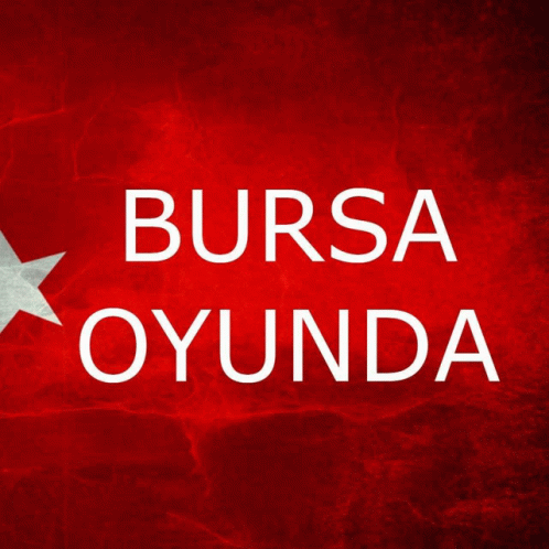 Bursaoyunda GIF - Bursaoyunda GIFs