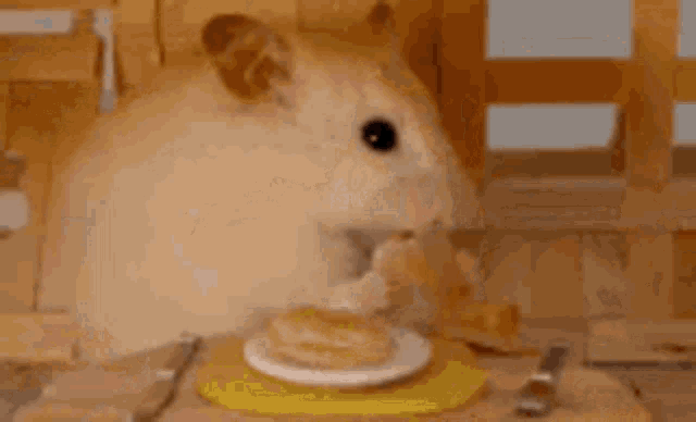 Cute Hamster GIF - Cute Hamster Riding GIFs