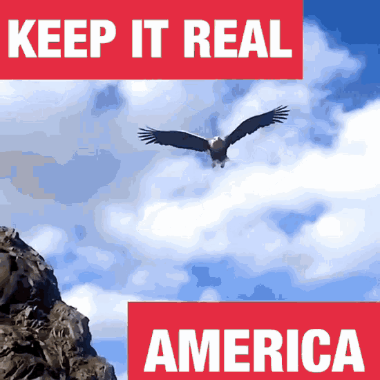 Keep It Real America GIF - Keep It Real America Eagle GIFs