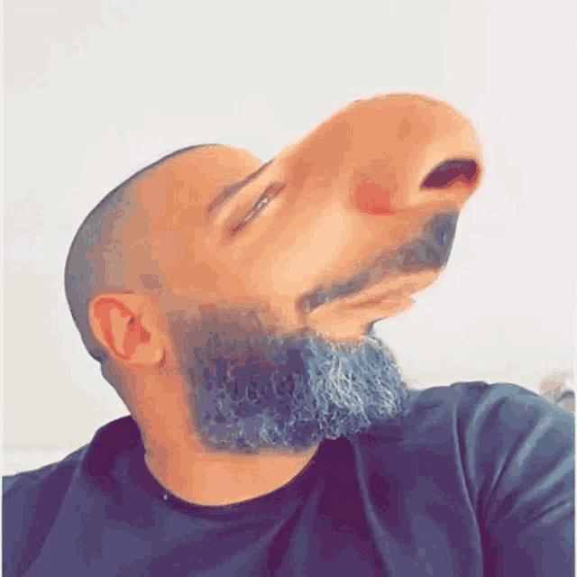 a man with a beard has a fake nose on his face