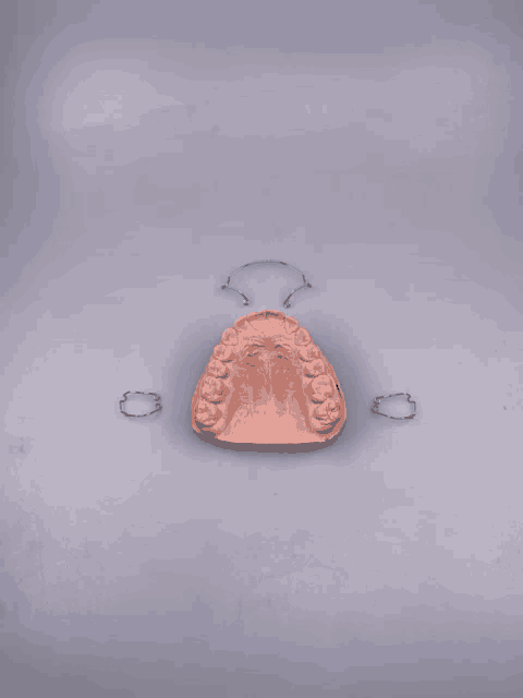 a model of a person 's teeth is sitting on a table