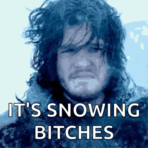 a picture of jon snow with the words " it 's snowing bitches " below him