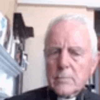 a man with gray hair is looking at the camera with his eyes closed .